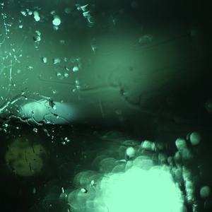 大岛华子近親相姦中出
